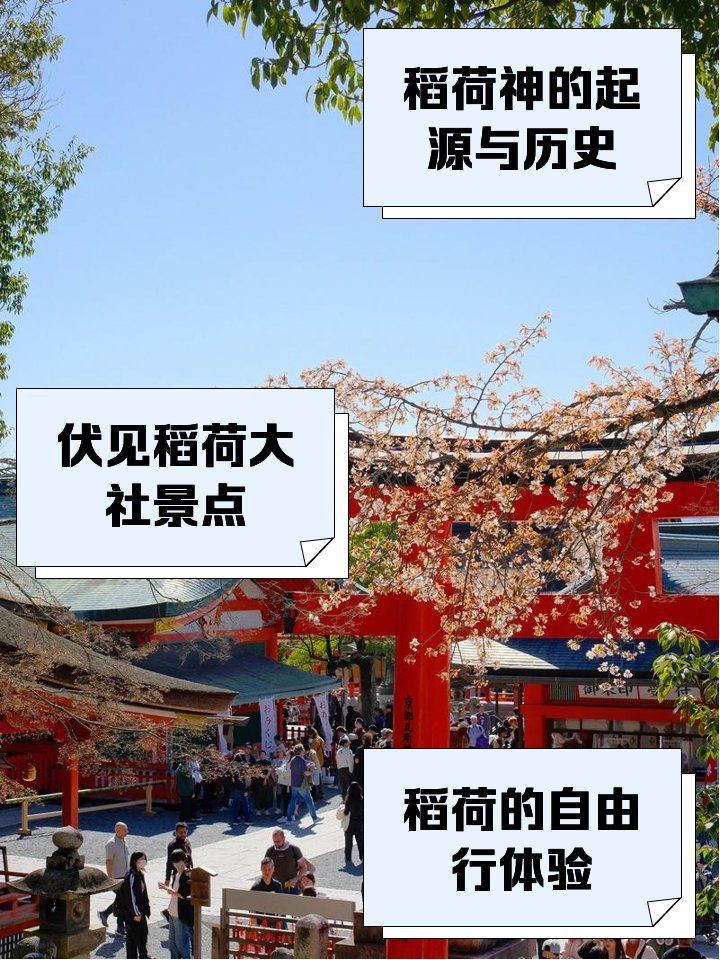 能詳細介紹一下道荷紅龍嗎？