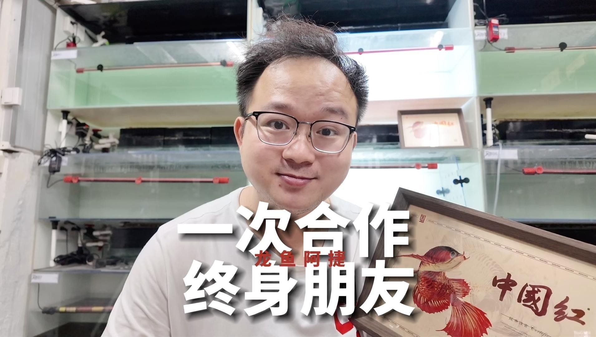 給我推薦一些紅龍魚苗的價格范圍