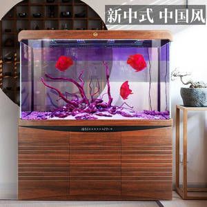 龍魚混養(yǎng)適應(yīng)期（龍魚混養(yǎng)保持兩個(gè)月左右不打架才能認(rèn)為混養(yǎng)成功）