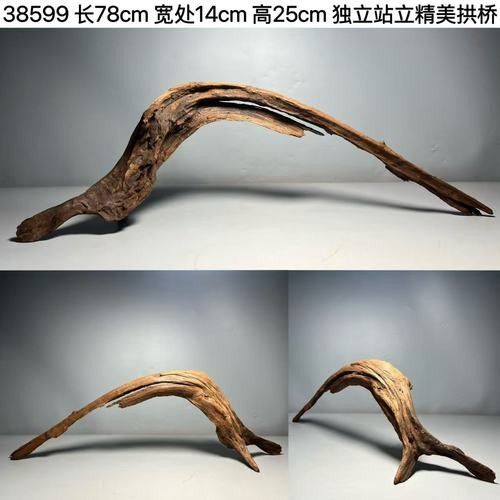 龍魚缸放沉木圖片欣賞