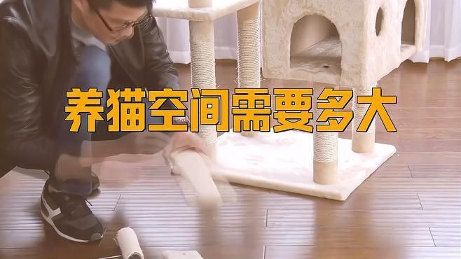 共養(yǎng)貓和龍貓需要多大的空間？