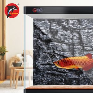 金龍魚魚缸背景底色選擇