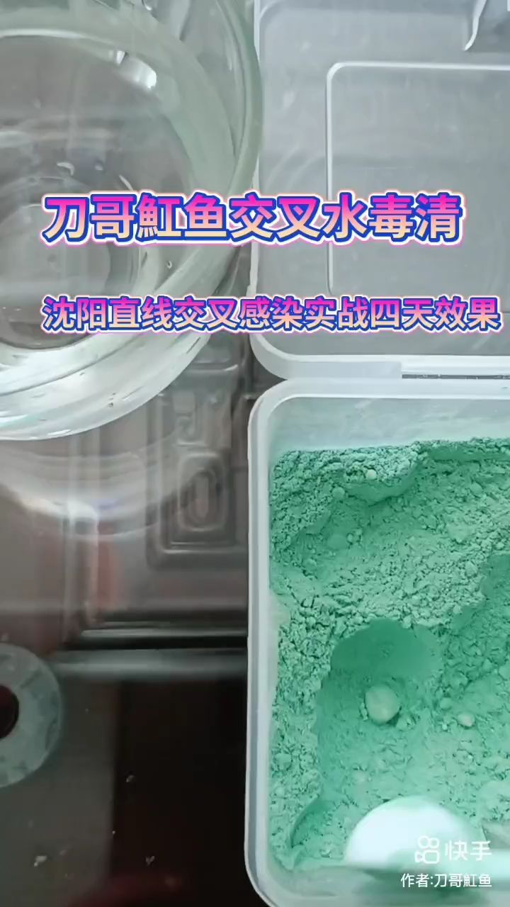 太湖龍魚(yú)最大可以長(zhǎng)多大：太湖龍魚(yú)在理想環(huán)境下，太湖龍魚(yú)最大可以長(zhǎng)多大？