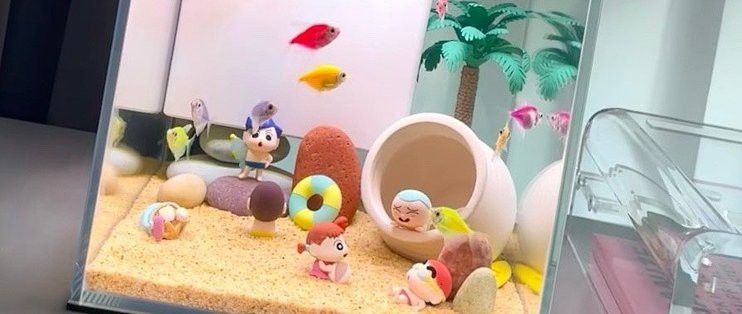 哪個品牌的龍缸性價比最高？