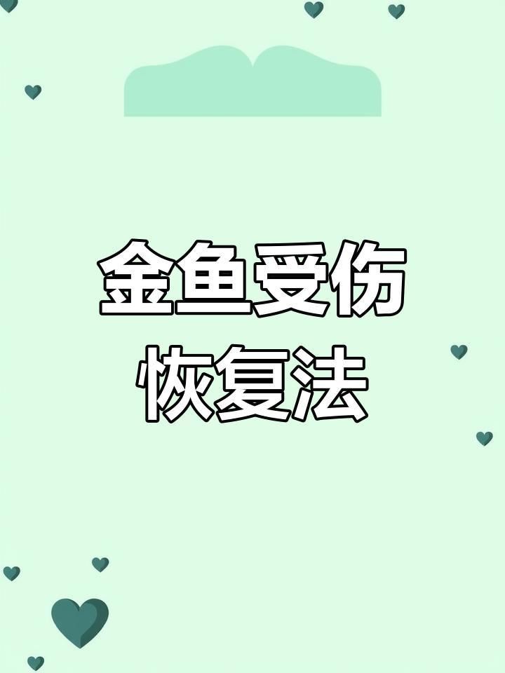 金魚受傷后需要多長時間恢復