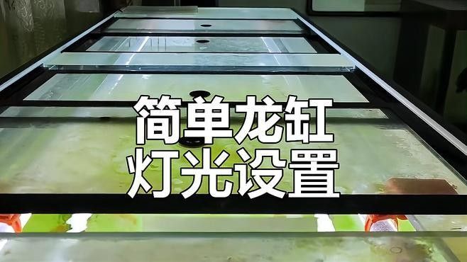 龍魚缸燈光擺放位置圖解