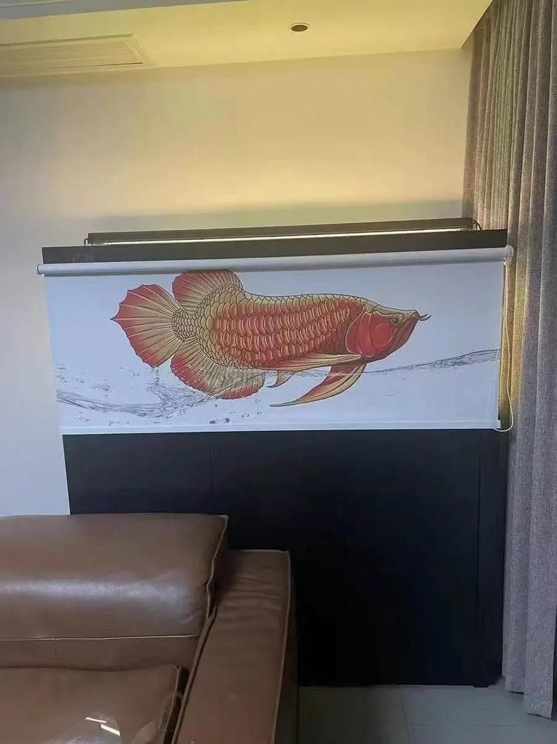 龍魚缸燈光擺放位置圖解