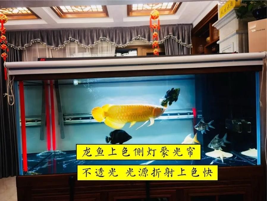龍魚缸燈光擺放位置圖解