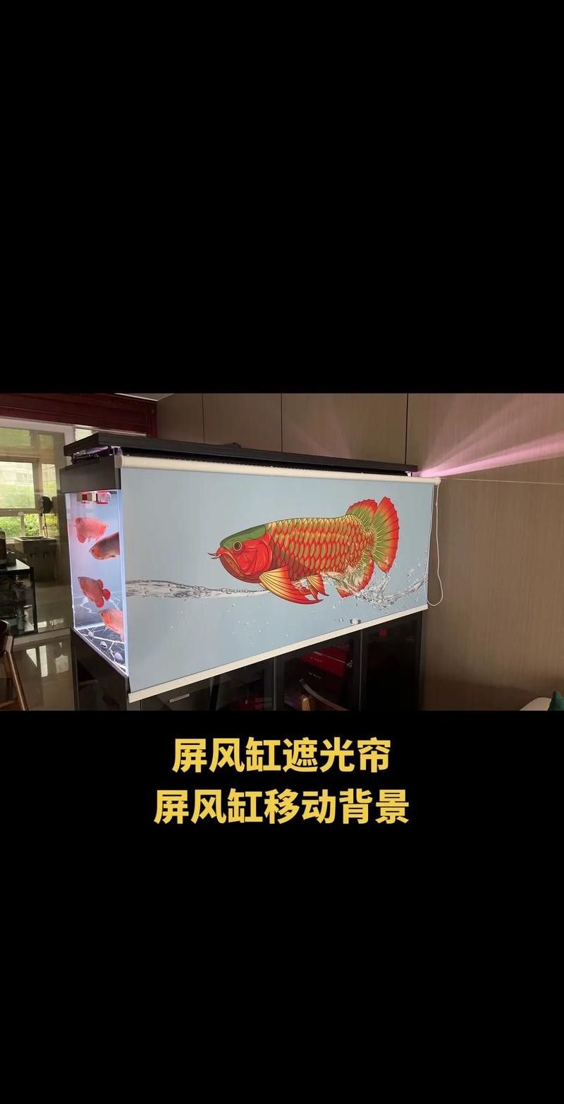 龍魚缸燈光擺放位置圖解