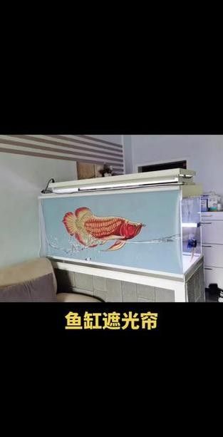 龍魚缸燈光擺放位置圖解