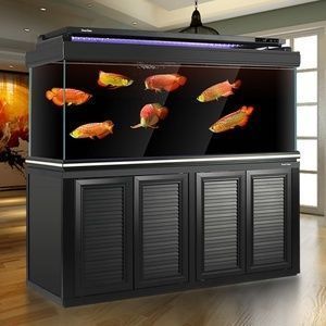 龍魚魚缸十大排名圖片：龍魚魚缸產(chǎn)品在市場(chǎng)上同樣備受好評(píng)
