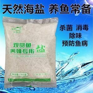 馬拉莫寶石魚(yú)白點(diǎn)病的防治方法（馬拉莫寶石魚(yú)白點(diǎn)病如何防治）