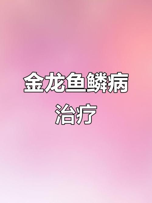 龍魚鱗片疾病圖片