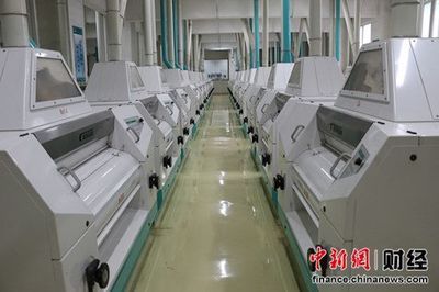 金龍魚加工廠電話（金龍魚加工廠的聯(lián)系電話）