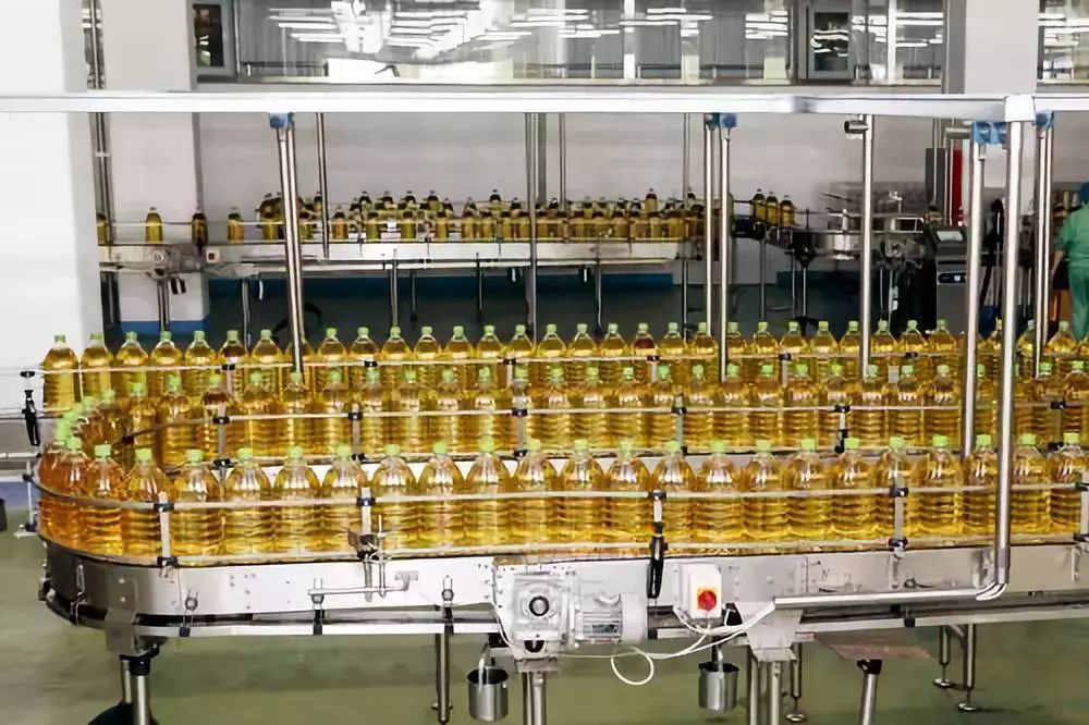 金龍魚加工廠電話（金龍魚加工廠的聯(lián)系電話）