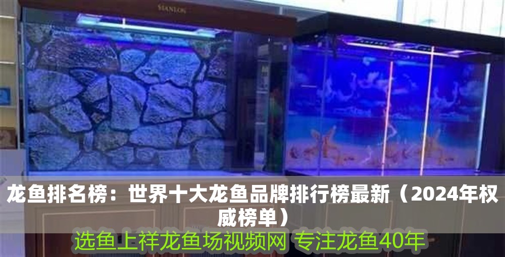 龍魚排名榜：世界十大龍魚品牌排行榜最新（2024年權威榜單）