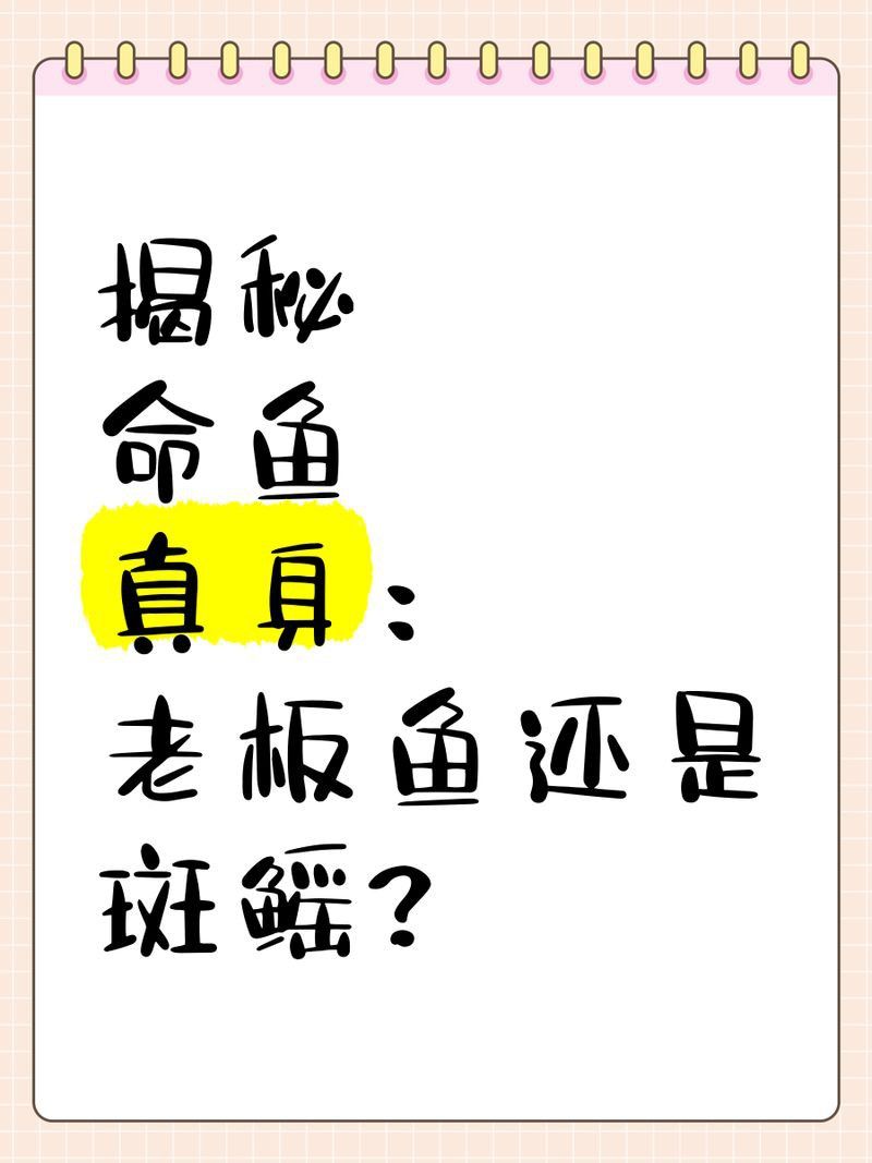 老板魚和鰩魚區(qū)別