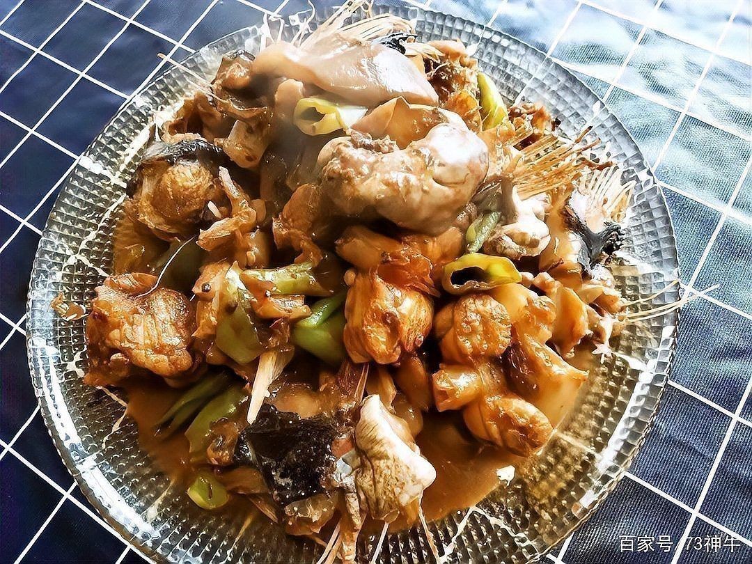 老板魚和鰩魚區別
