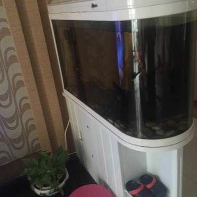 九龍魚缸什么意思：“九龍魚缸”在不同的語境下可能有著不同的含義