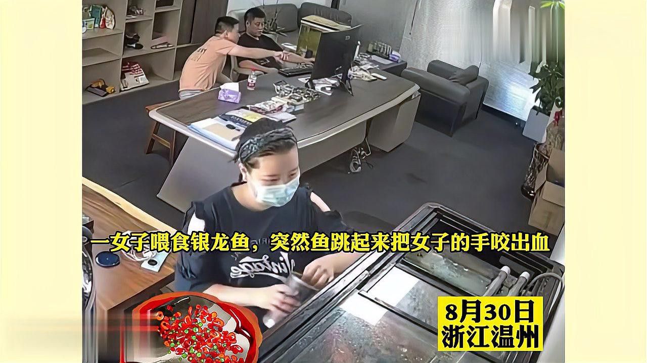 金魚和銀龍魚能混養(yǎng)嗎圖片