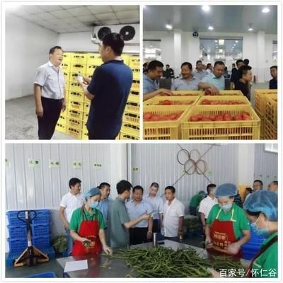 金龍魚售后服務，金龍魚售后響應時間查詢時間查詢金龍魚客服電話是多少