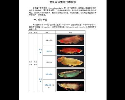 龍魚如何麻醉自己的卵巢：龍魚麻醉前后護理要點龍魚麻醉前后護理要點