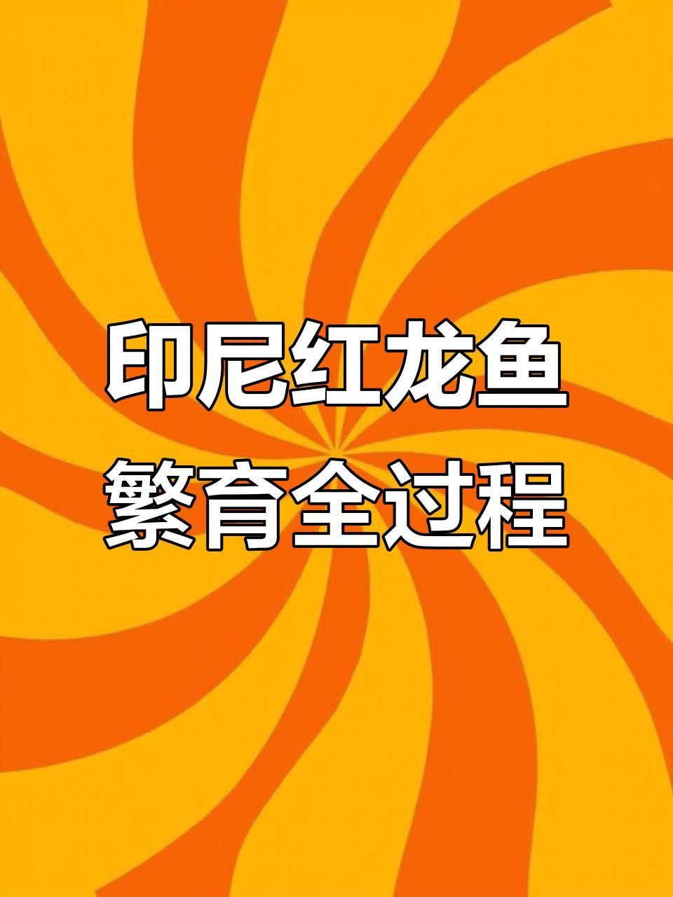 紅龍魚繁殖需要哪些條件