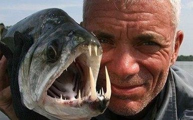 龍魚上浮不動：龍魚上浮不動可能由多種因素引起