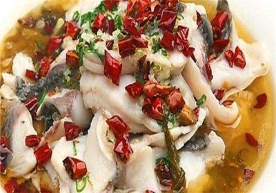 白寫錦鯉四季飲食指南