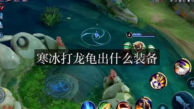哪種出裝方案最適合克制龍龜？