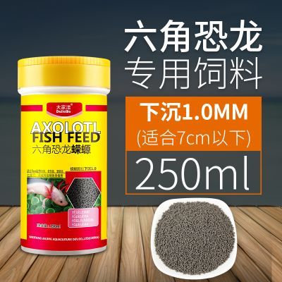 六角恐龍魚咬人疼不疼：六角恐龍魚吃什么