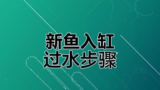 補新魚時需要注意哪些事項？
