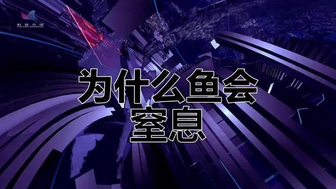 哪些因素會(huì)影響魚類的呼吸