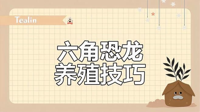 如何為六角恐龍?zhí)峁┮粋€適宜的棲息環(huán)境？