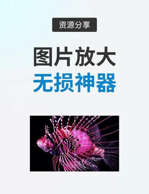 能提供高清大圖嗎？