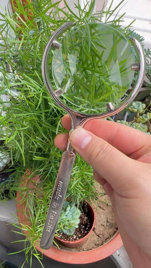 能提供高清大圖嗎？