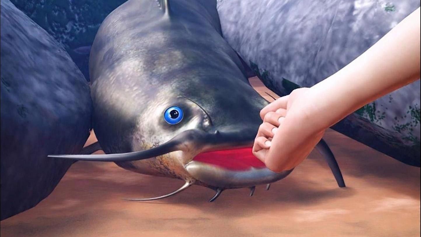 養龍魚最低水溫多少度合適：養龍魚的最低水溫多少度合適