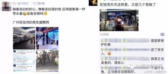 10cm銀龍魚怎么養：10厘米的銀龍魚在飼養時有一些關鍵因素需要考慮