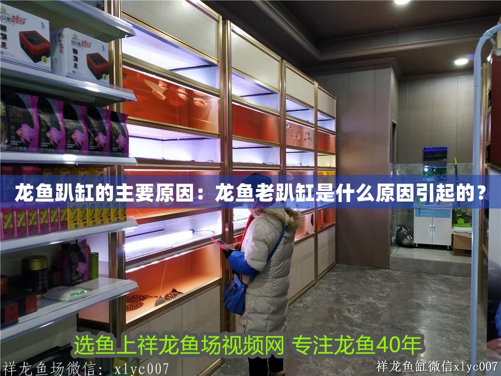 龍魚趴缸的主要原因：龍魚老趴缸是什么原因引起的？