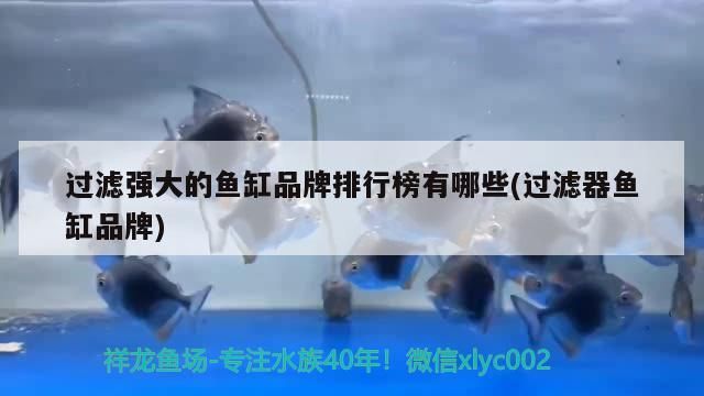 飼料 過濾強大的魚缸品牌排行榜有哪些(過濾器魚缸品牌) 龍魚百科 過濾強大的魚缸品牌排行榜有哪些(過濾器魚缸品牌) 過濾強大的魚缸品牌排行榜有哪些(過濾器魚缸品牌) 龍魚百科