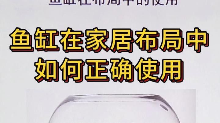 沉木放魚缸哪個位置最好
