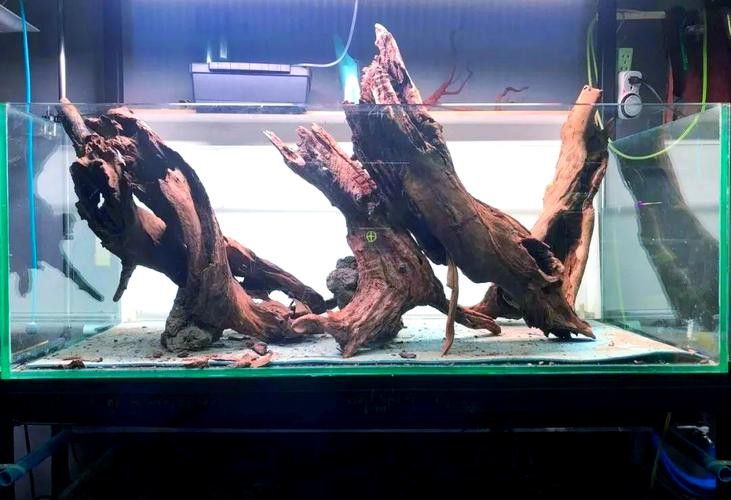 沉木放魚缸哪個位置最好