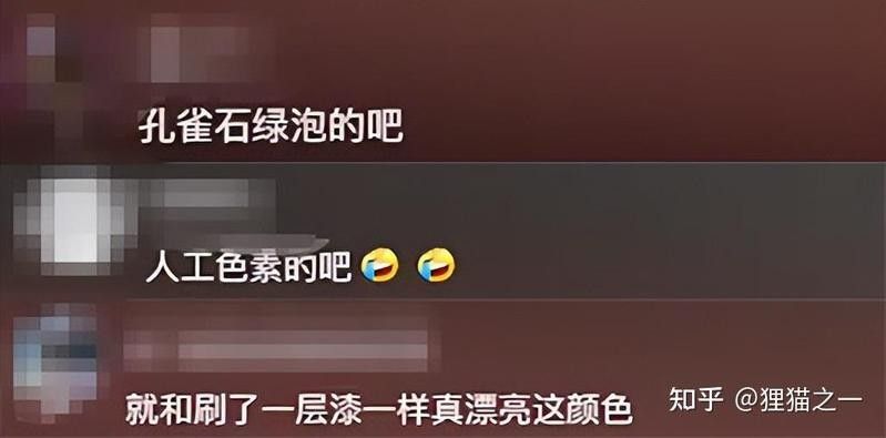 青龍魚圖片大全欣賞視頻