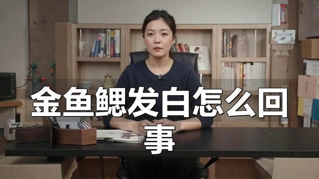 金龍魚在缸頂不動
