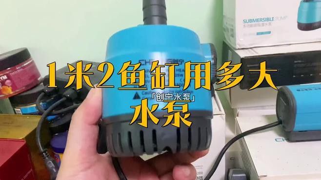 1.2米缸養龍魚需要多大的功率過濾器？