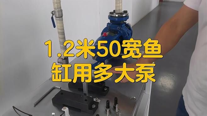 1.2米缸養龍魚需要多大的功率過濾器？