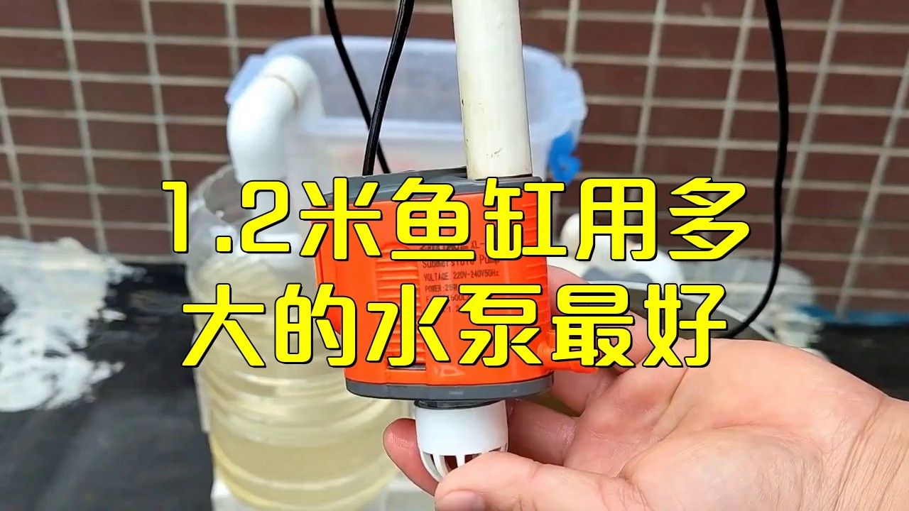 1.2米缸養龍魚需要多大的功率過濾器？