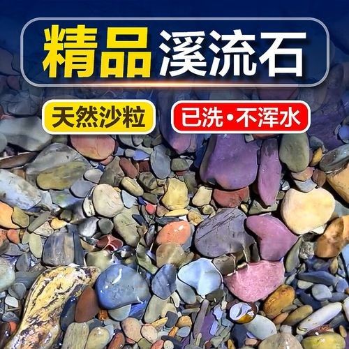 雷龍魚(yú)缸用什么底砂