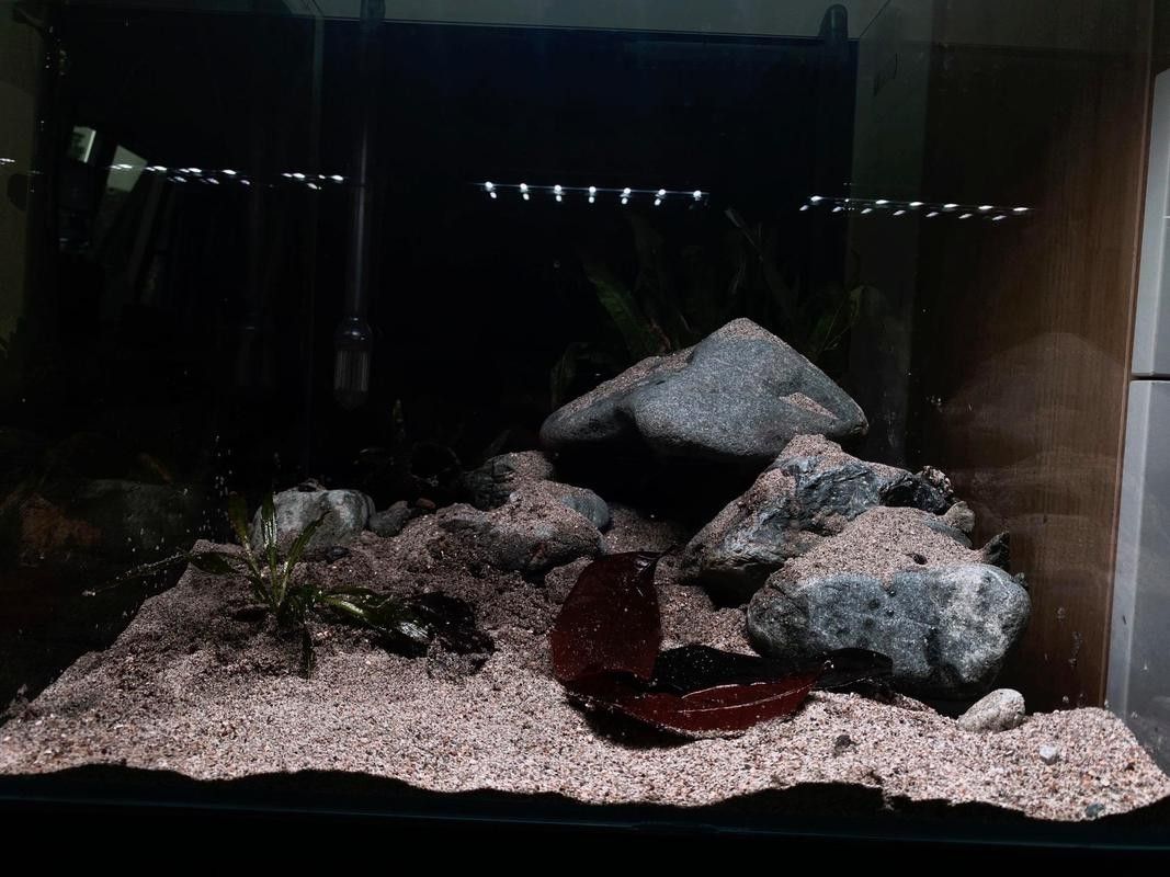 雷龍魚(yú)缸用什么底砂