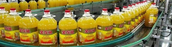 給我更多龍魚飼養(yǎng)的流行梗